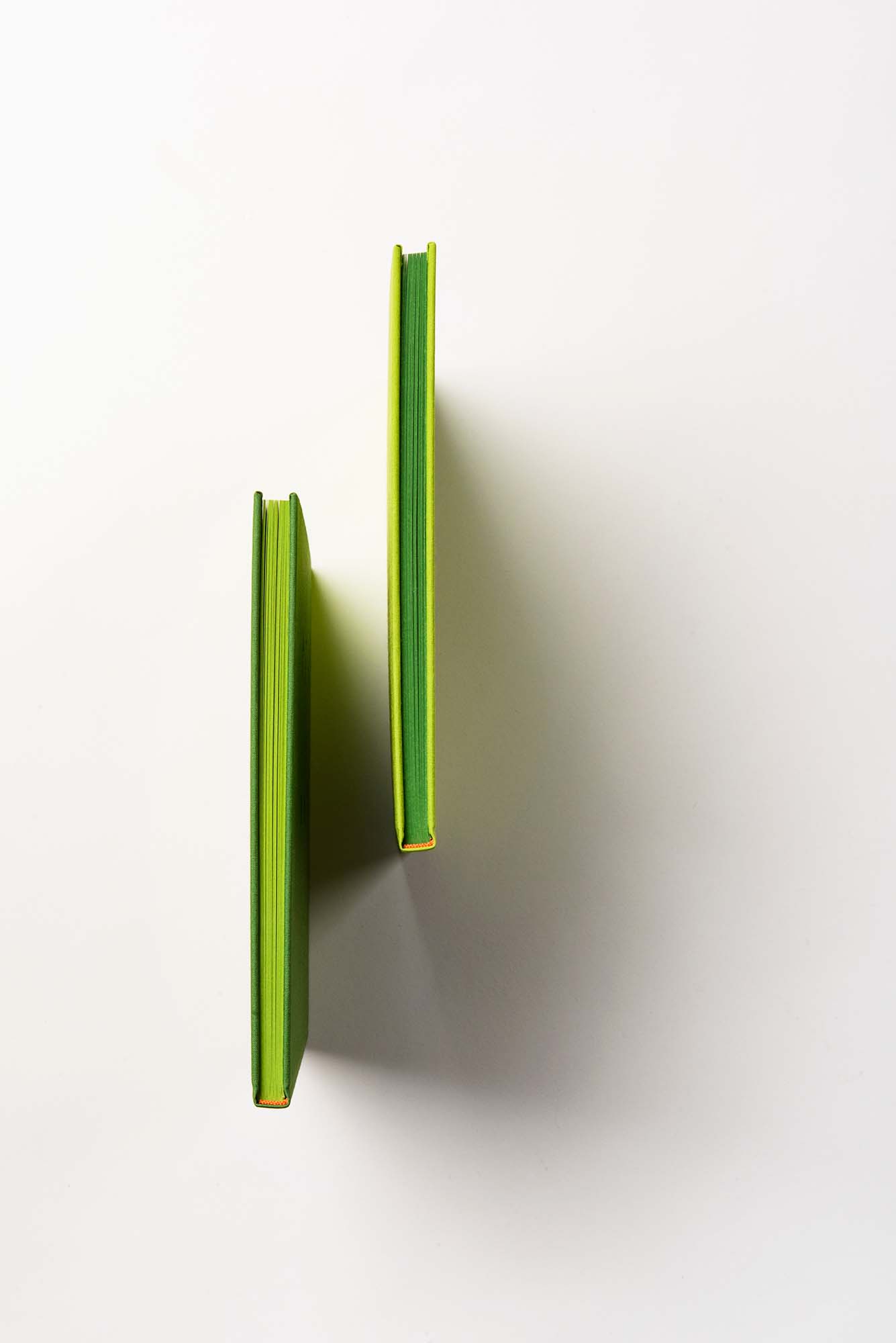 A unique art book for the 25th anniversary of DIADEM