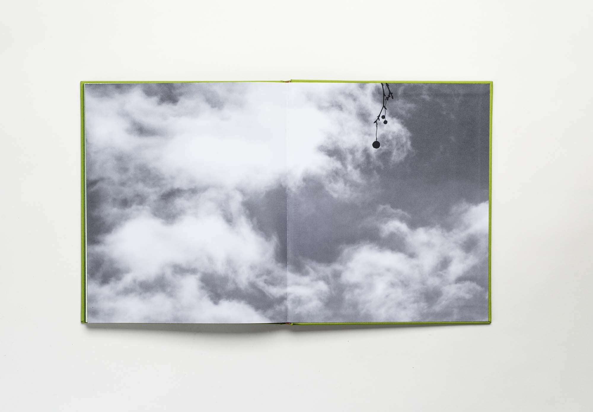 A unique art book for the 25th anniversary of DIADEM