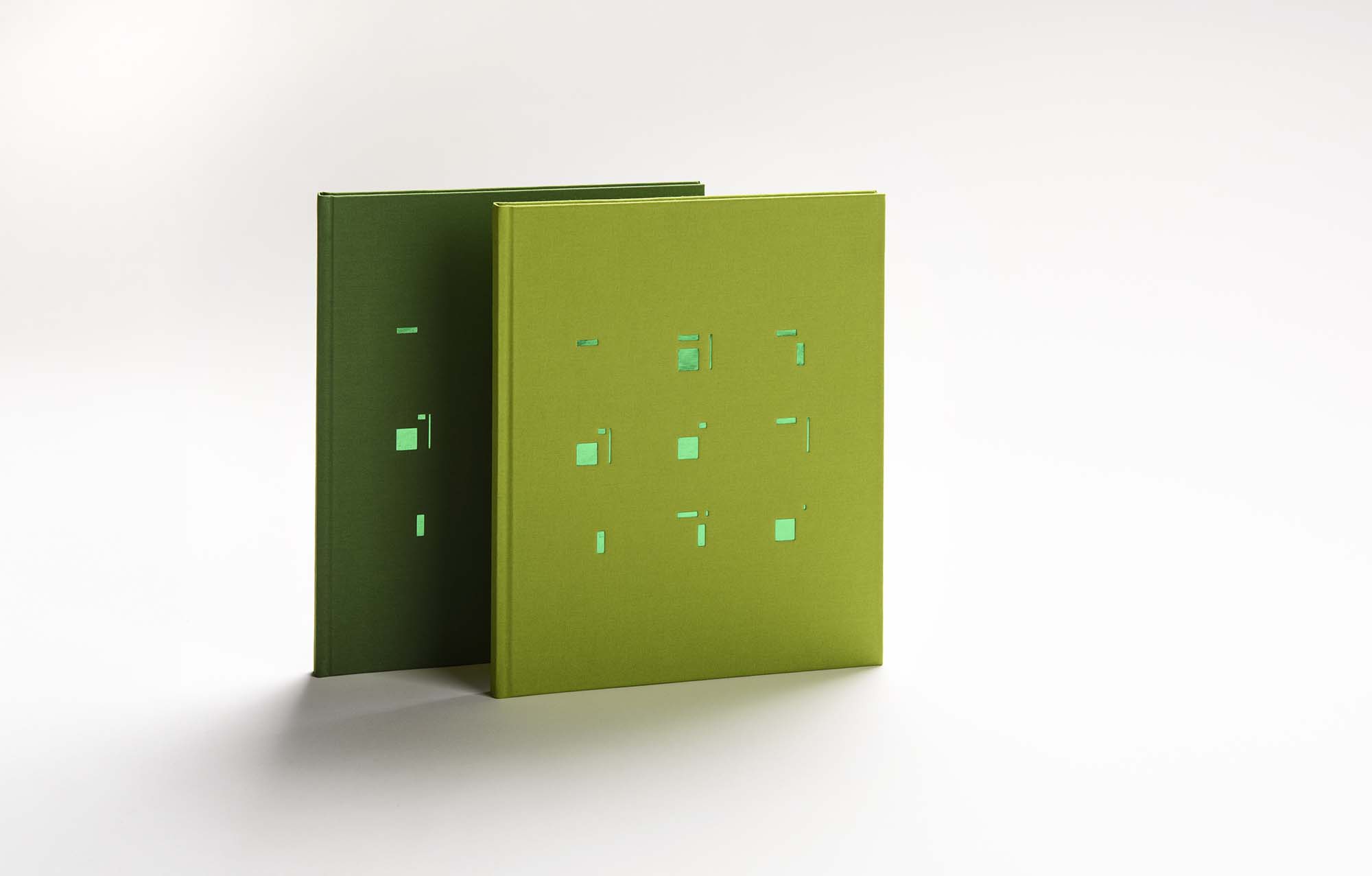 A unique art book for the 25th anniversary of DIADEM