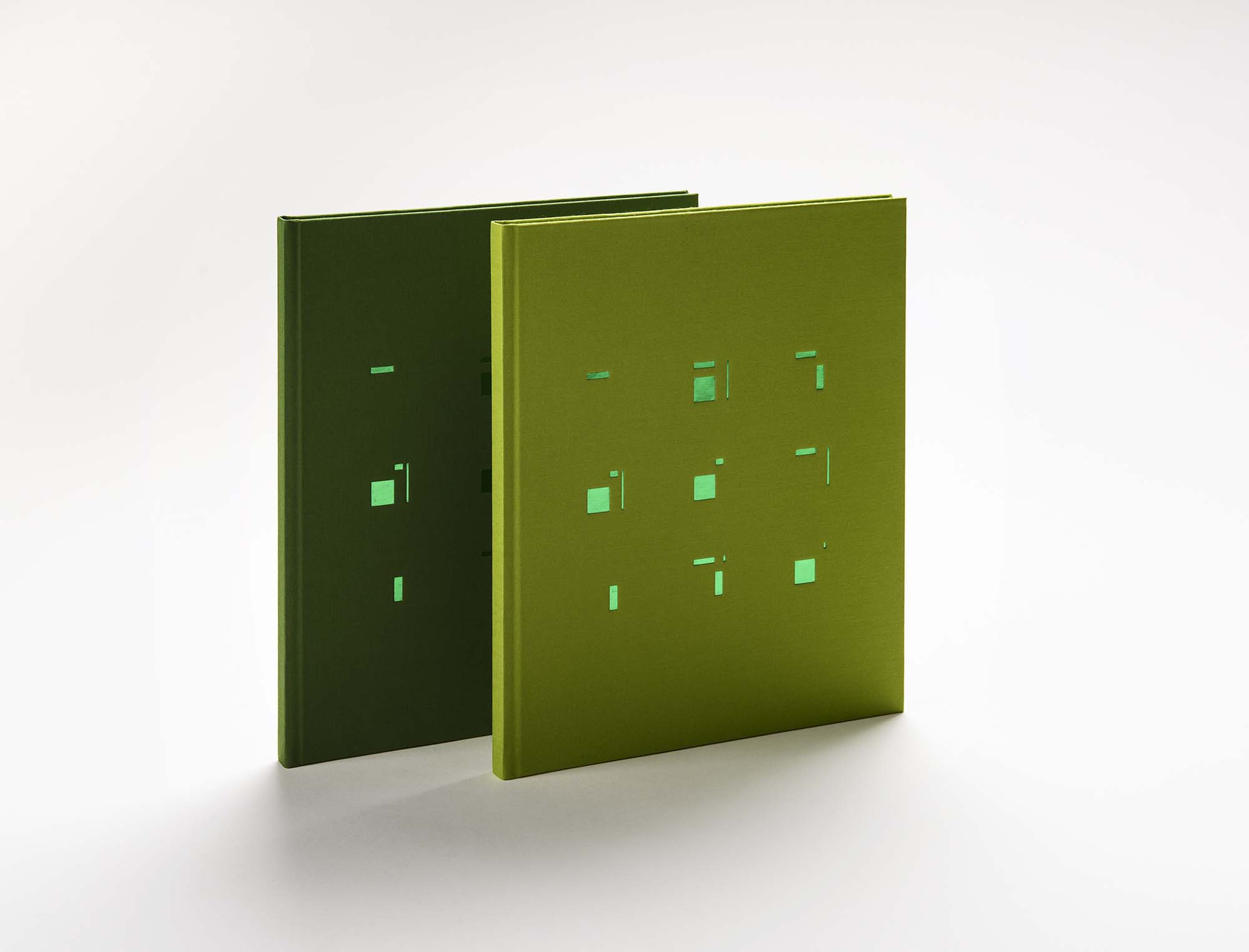 A unique art book for the 25th anniversary of DIADEM