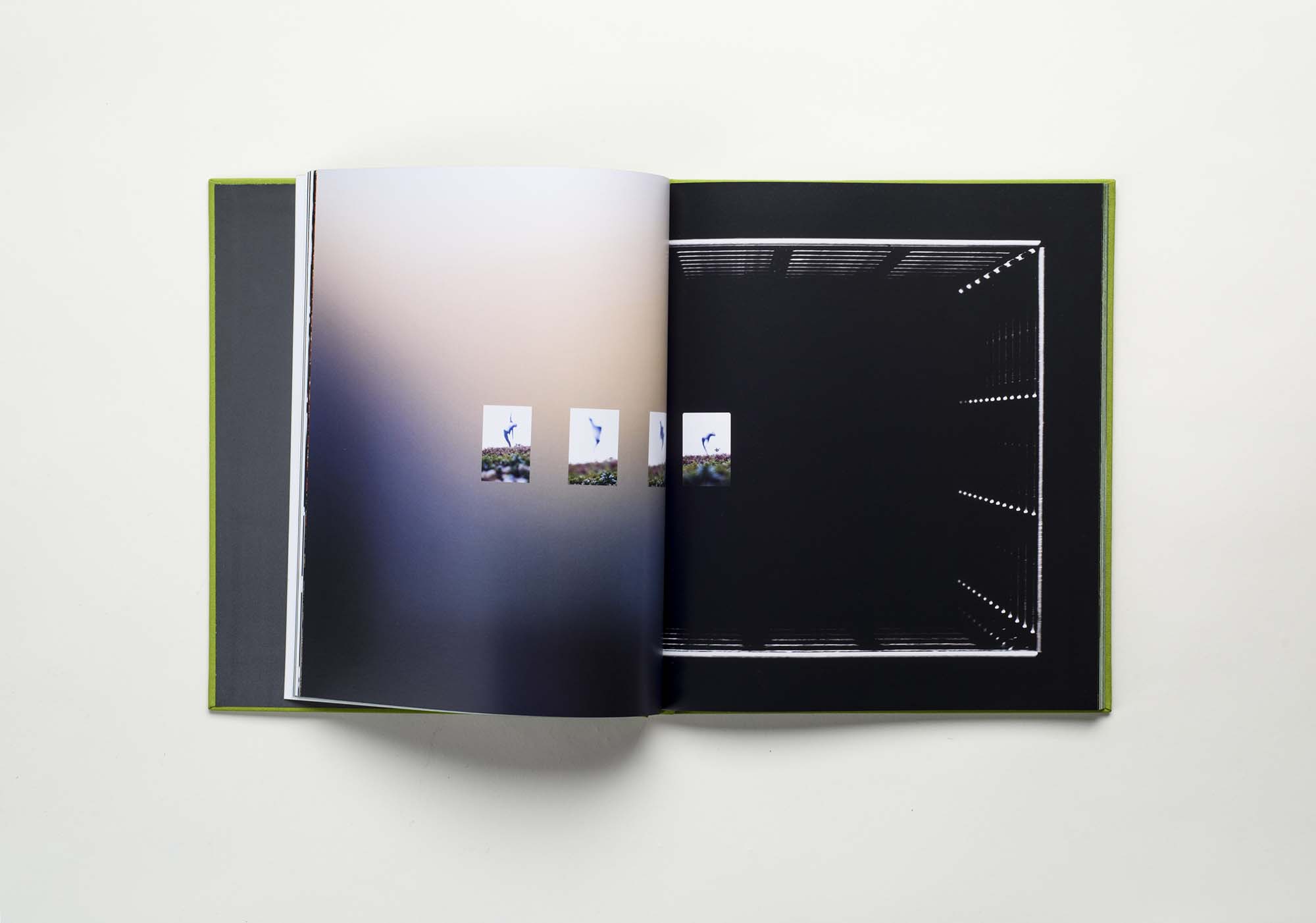 A unique art book for the 25th anniversary of DIADEM