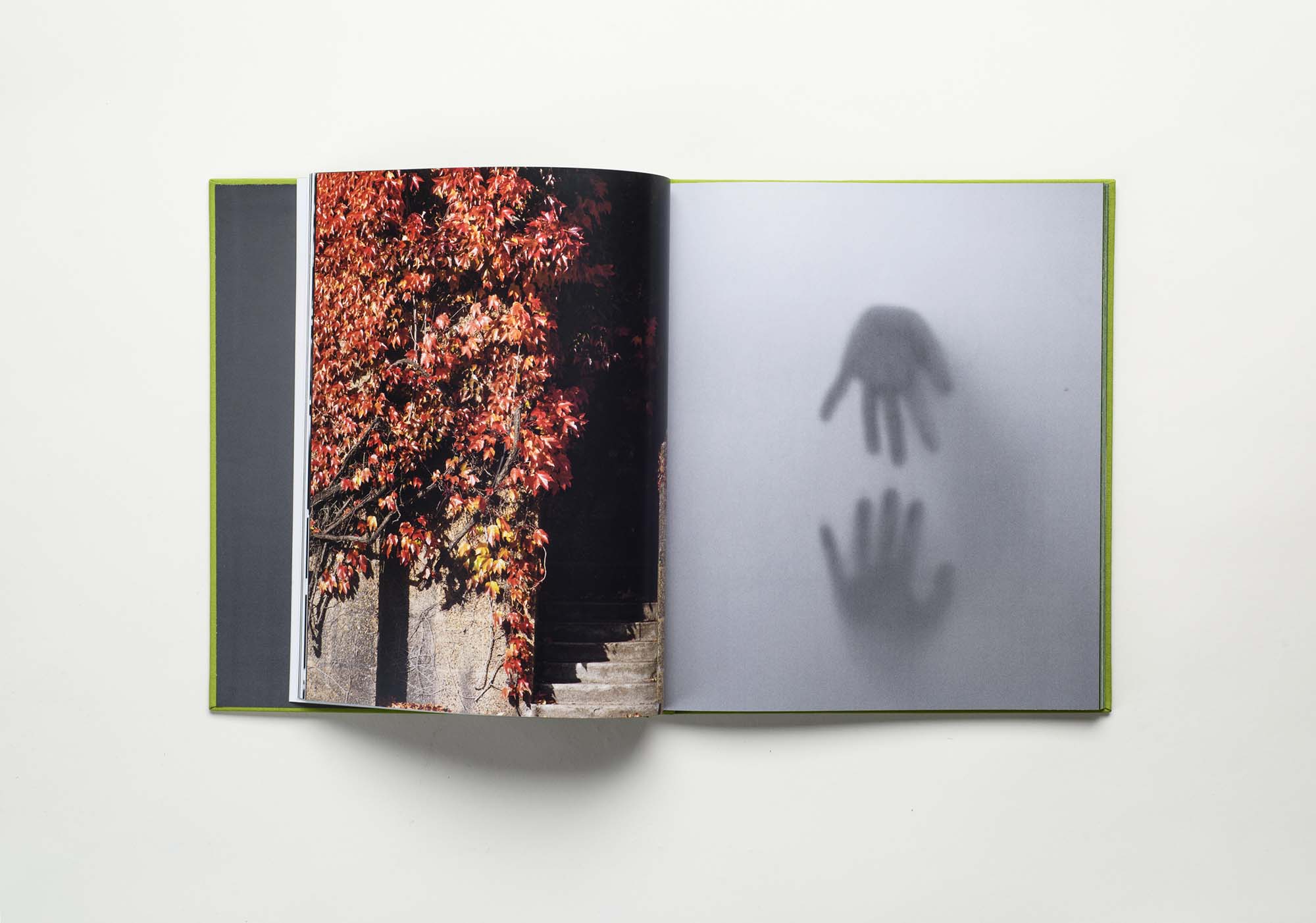 A unique art book for the 25th anniversary of DIADEM