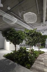 Skanska HQ Budapest, irodabelső