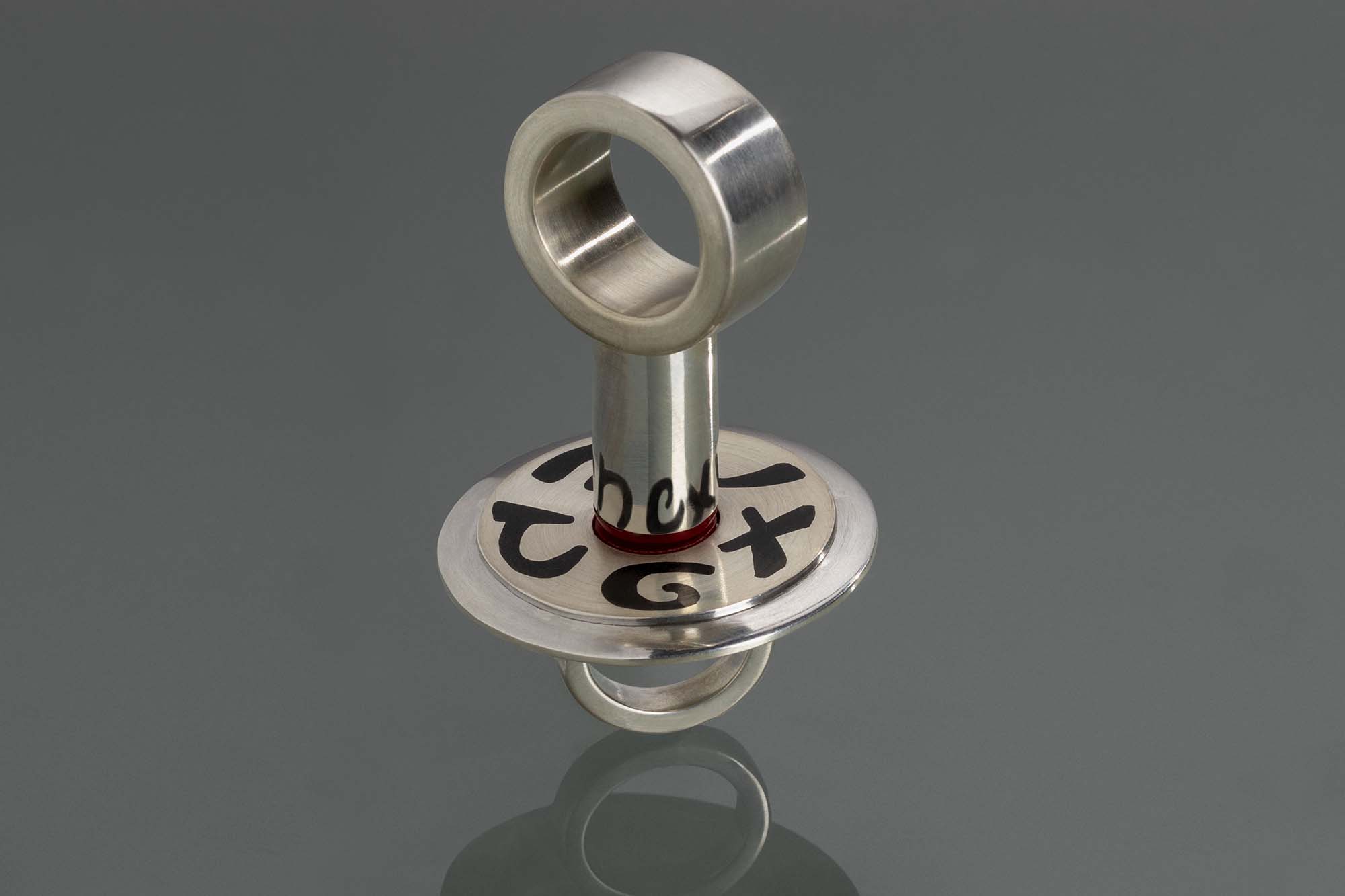 Anamorphic pair of rings